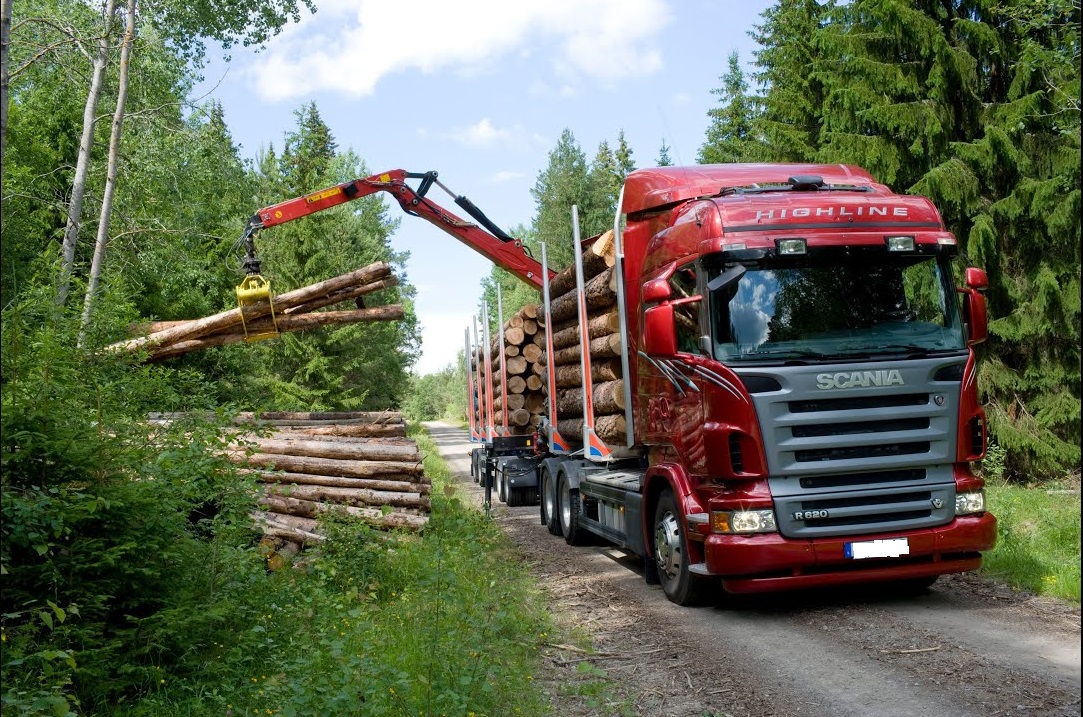 Купить права на лесовоз в Казани